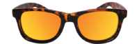 sales_classic_polar_front_TORTOISE-POLARIZED_SUNSET